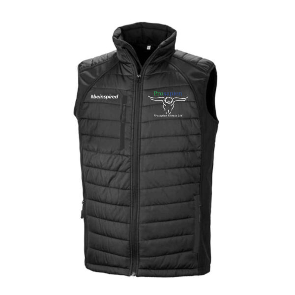 Prosapien Recycled Padded Softshell Gilet